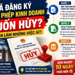 Hướng Dẫn Chi Tiết 3 Bước Hủy Giấy Phép Hộ Kinh Doanh (Chấm Dứt Hoạt Động) Chuẩn Luật